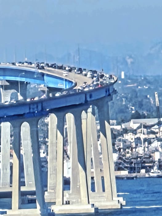 Coronado Bridge Jumper